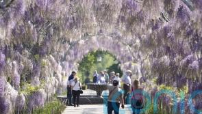 UK set for ‘classic’ spring weather, including frosty nights and warm days