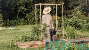 How to master ‘allotment chic’
