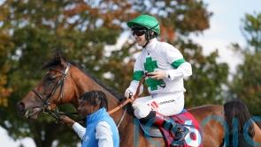 Newbury or Paris next on the agenda for Tamfana