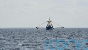 Ministers accused of ‘still breaking the law’ over fishing licences