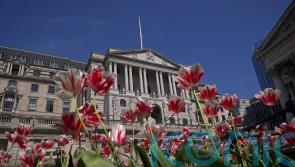 Bank cuts interest rates to 4.25% as tariff tensions dampen growth