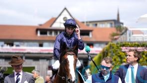 Mount Kilimanjaro erupts late on to land Dee Stakes success