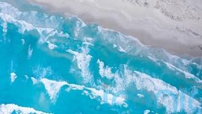 Ratify ocean treaty and ban destructive fishing in protected areas, PM urged