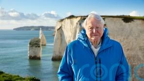 Attenborough film unveils seabed destruction caused by bottom trawling