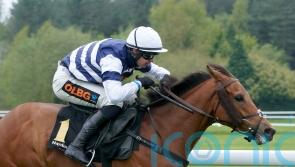 Givemefive aiming to scale new heights in Swinton test