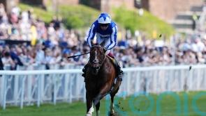 The Foxes swoops for Huxley glory