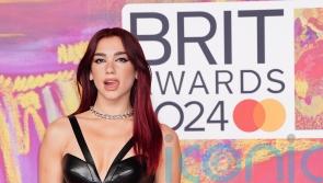 Dua Lipa among stars urging PM to protect creative industry amid copyright fears