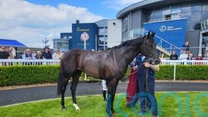 Albert Einstein looks very smart in winning debut at Naas