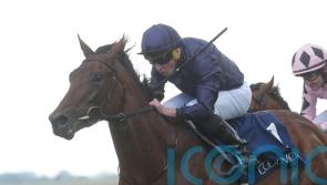 Henri Matisse fends off Jonquil in French Guineas thriller