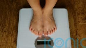 First five years of life key to preventing obesity, researchers suggest