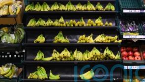 Bananas under threat as rising temperatures killing crops – report