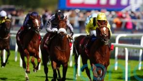 Nakheel captains strong York team for in-form Burrows