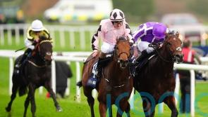 ParisLongchamp absentee Hotazhell rerouted to Irish 2,000 Guineas