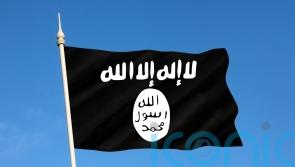 Islamic State fighters who returned to UK must face justice, says committee