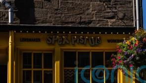 Never mind the bifocals – eyewear shop rebrands after Sex Pistols legal row
