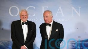 Attenborough film shows seabed ‘devastation’ says MP in bottom trawling ban call