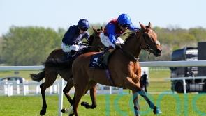 Serenity Prayer out to ascend to greater heights in Musidora bid
