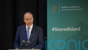 ‘Disturbing’ implications from child hip surgery report, Taoiseach says