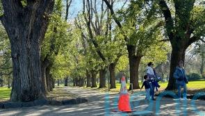 Captain Cook monument removed from Melbourne park after repeated vandalism