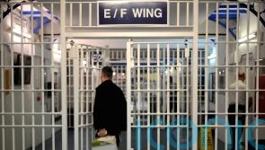 ‘Lives at risk’, warns domestic abuse tsar over Government’s prison recall plans