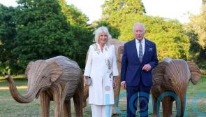 King says ‘collaboration better than conflict’ in call to help save planet