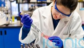 Watchdog’s investment body findings prompt concern over UK research ‘leadership’