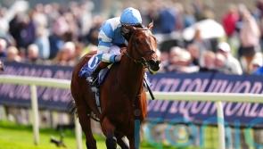 Pride Of Arras stuns Dante field with 18-1 success