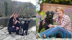 Woman who became deaf overnight and was ‘spat on’ for using sign language credits hearing dog for transforming her life