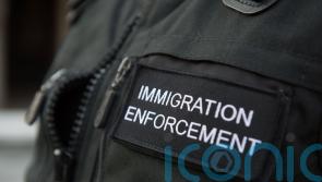 Chances to investigate criminal smuggling gangs missed, says watchdog