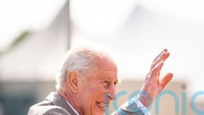 King appears in good spirits at Royal Windsor Horse Show