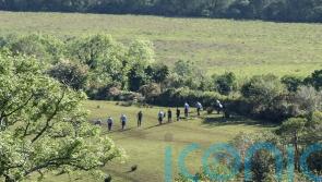 Partial human remains found in search for missing Co Kerry farmer Michael Gaine