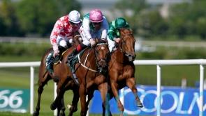 Babouche back on song to set up Commonwealth Cup bid