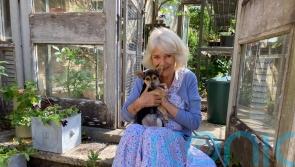 Names of King and Queen’s dogs to feature in Chelsea Flower Show garden