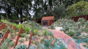 Gardening with a more ‘natural’ feel takes centre stage at Chelsea Flower Show