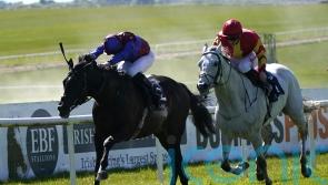 Top-class Tattersalls Gold Cup in prospect at the Curragh
