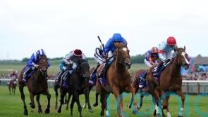 Elwateen under the microscope for Oaks supplementary bid