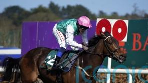 Weld eager for rain ahead of Swelter’s Guineas date