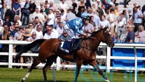 July Cup bid on Great Generation agenda
