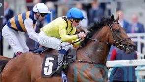 Quddwah puts Queen Anne case with smooth return in Paris
