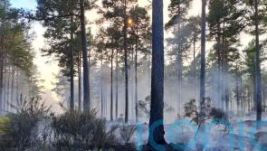 Firefighters remain at forest wildfire for fourth day