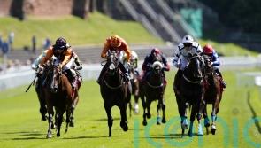 All eyes on Ali Shuffle in smart renewal of Hilary Needler