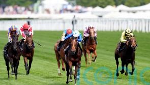 Rashabar team full of confidence for Irish Guineas challenge
