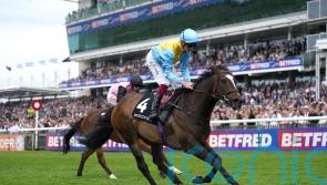 Rumstar in good shape for Temple test at Haydock