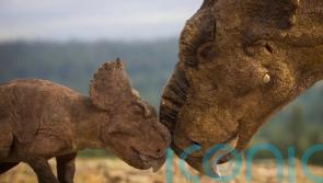 Why dino-tourism is set to be the new wildlife travel craze