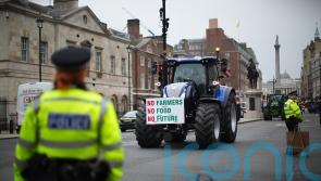 Inheritance tax changes ‘bad for farmers’ focus on environment’ – watchdog head