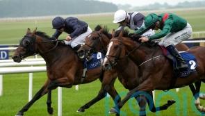 Thrice awarded Gallinule glory at the Curragh