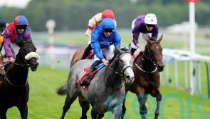 Symbol Of Honour shows great resolve in Sandy Lane strike