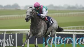 Field Of Gold flies clear to claim Irish Guineas glory