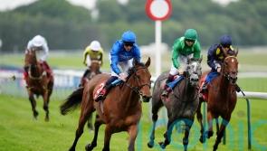 Diamond Rain sparkles with strong Haydock display