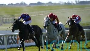 Keane backing White Birch for Tattersalls Gold Cup defence